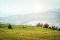 View of the green hills which glowing by sunlight. Retro and vintage style. Instagram toning effect Royalty Free Stock Photo