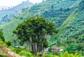 View on green landscape next to the village of Jardin in Colombia