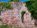 View of green-leafy plants on the pink-shaded stone wall Royalty Free Stock Photo