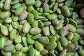 View of green lima beans also known as mocha kottai in tamil language Royalty Free Stock Photo