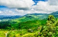 View on green mountain landscape and tea plantations next to Haputale, Sri Lanka