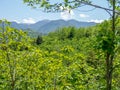 View of the green mountains. Beautiful mountain landscape. Nature in spring. Lots of green plants Royalty Free Stock Photo