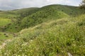 A view of green mountains and grass, dirt roads