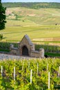 View on green premier cru champagne vineyards in village Hautvillers near Epernay, Champange, France Royalty Free Stock Photo