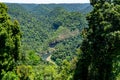 view of the green rainforest in the north of Australia