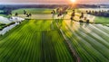 View of a green rice field with trees. Rice plants. view of an agricultural field, Sustainable agriculture, Royalty Free Stock Photo