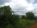 GREEN TREES AND GRASS ALONGSIDE A DIRT ROAD IN A SOUTH AFRICAN LANDSCAPE UNDER A CLOUDY SKY Royalty Free Stock Photo