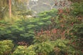 A view of green trees with their dry fruitsseeds at the morning Royalty Free Stock Photo