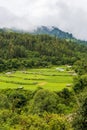 View of green valley with clouds over mountains in Bhutan. Royalty Free Stock Photo