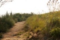 PARTIALLY SHADED PATH ON TOP OF A GRASSY HILL