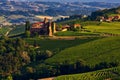 View of green vineyards in Piedmont, Italy. Royalty Free Stock Photo
