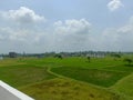View of greenery rice field rular area Royalty Free Stock Photo