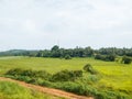 View of greenfields on a gloomy day background