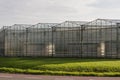 View on a greenhouse in Het Westland