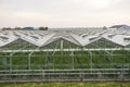 View on a greenhouse in Het Westland