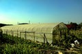 The view of a greenhouse structure in a farm under the sun.