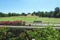 View of Greenwich Park with unidentified people sunbathing on the grass and the Royal Observatory up on the hill in London, UK. Royalty Free Stock Photo