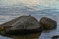Grey large stones which are in the water of the lake Royalty Free Stock Photo