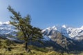 Grosses Wiesbachhorn and Fir in Austria