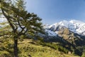 Grosses Wiesbachhorn in Summer Austria