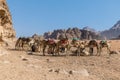 A view of a group of camels in the desert landscape in Wadi Rum, Jordan