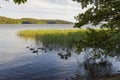 View of group of ducks on lake. Birds concept.