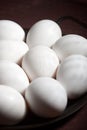 View of a group of eggs Royalty Free Stock Photo