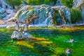 View of a group of Humboldt penguins in the schonbrunn tiergarten in Vienna, Austria...IMAGE