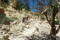 View of a group of people descending a mountain in Ein-Gedi National Park via a staircase of white boulders