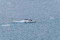 A view of a group of Stellar sea lions on an iceflow in Glacier Bay, Alaska Royalty Free Stock Photo