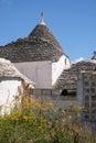 View of group of traditional trullo houses in the Aia Piccola residential area of Alberobello in the Itria Valley, Puglia Italy