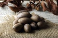 A COLLECTION OF UNSHELLED PECAN NUTS ON A PIECE OF HESSIAN AND SHEET MUSIC WITH DRY PECAN NUT TREE LEAVES Royalty Free Stock Photo