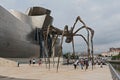 View of The Guggenheim Museum in Bilbao, Biscay, Basque Country,