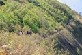 View of guided nature trail which has some group of tourist at Kio Mae Pan, Doi Inthanon National Park, Chiang Mai