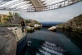 View of The Gulf of St. Lawrence section inside Montreal Biodome. Royalty Free Stock Photo