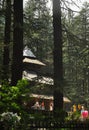 View of Hadimba Devi Temple from among cedar trees