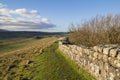 Hadrians wall landscape Northumberland, UK
