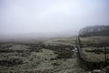 Hadrian`s Wall on a cold, misty day