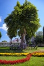 The view of Hagia Sophia from the courtyard of Blue Mosque Royalty Free Stock Photo