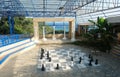 View of the hall with large chess pieces and the view of the blue sea in a Greek hotel