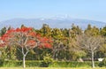 View of Hallasan mountain - symbol of Jeju-do island