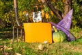 View of Halloween Pumpkins, witch's hat and rake