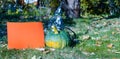 View of Halloween Pumpkins, witch's hat and rake