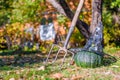 View of Halloween Pumpkins, witch's hat and rake