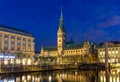 View of Hamburg city hall Royalty Free Stock Photo