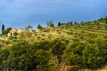 View on Fonterutoli on sunrise. It is hamlet of Castellina in Chianti in province of Siena. Tuscany. Italy