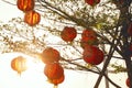 View of hanging paper lanterns in gaeden Royalty Free Stock Photo