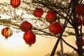 View of hanging paper lanterns in gaeden