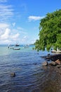 View of hanging tree and see at Trou D'Eau Douce embarkation point Royalty Free Stock Photo