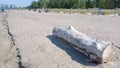 Hanlan's Point Nude Beach view on Toronto Islands Royalty Free Stock Photo